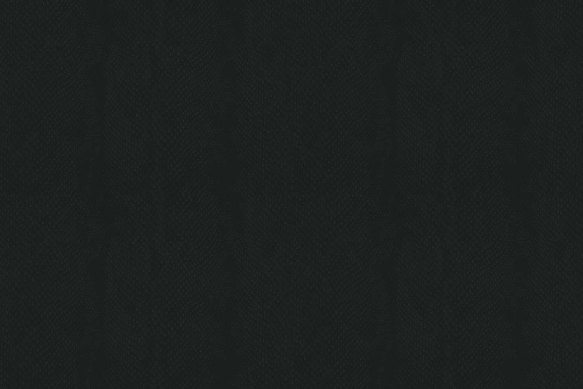 The Brannen Law Office, P.C. in Statesboro, GA (2)