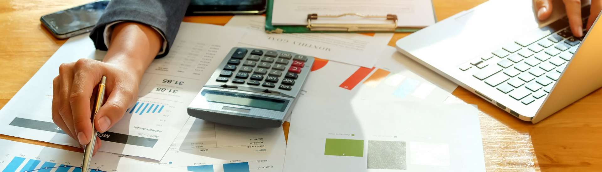 Temida Tax Solutions in Villa Park, IL (3)