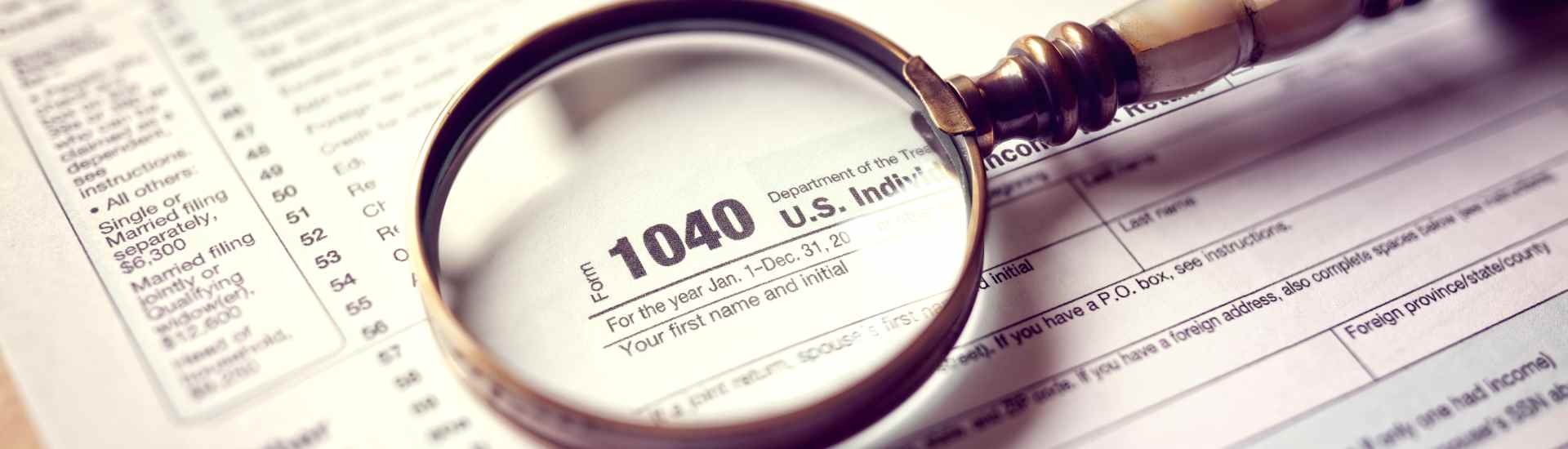 Temida Tax Solutions in Villa Park, IL (6)