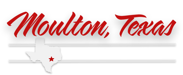 Moulton City Park in Moulton, TX
