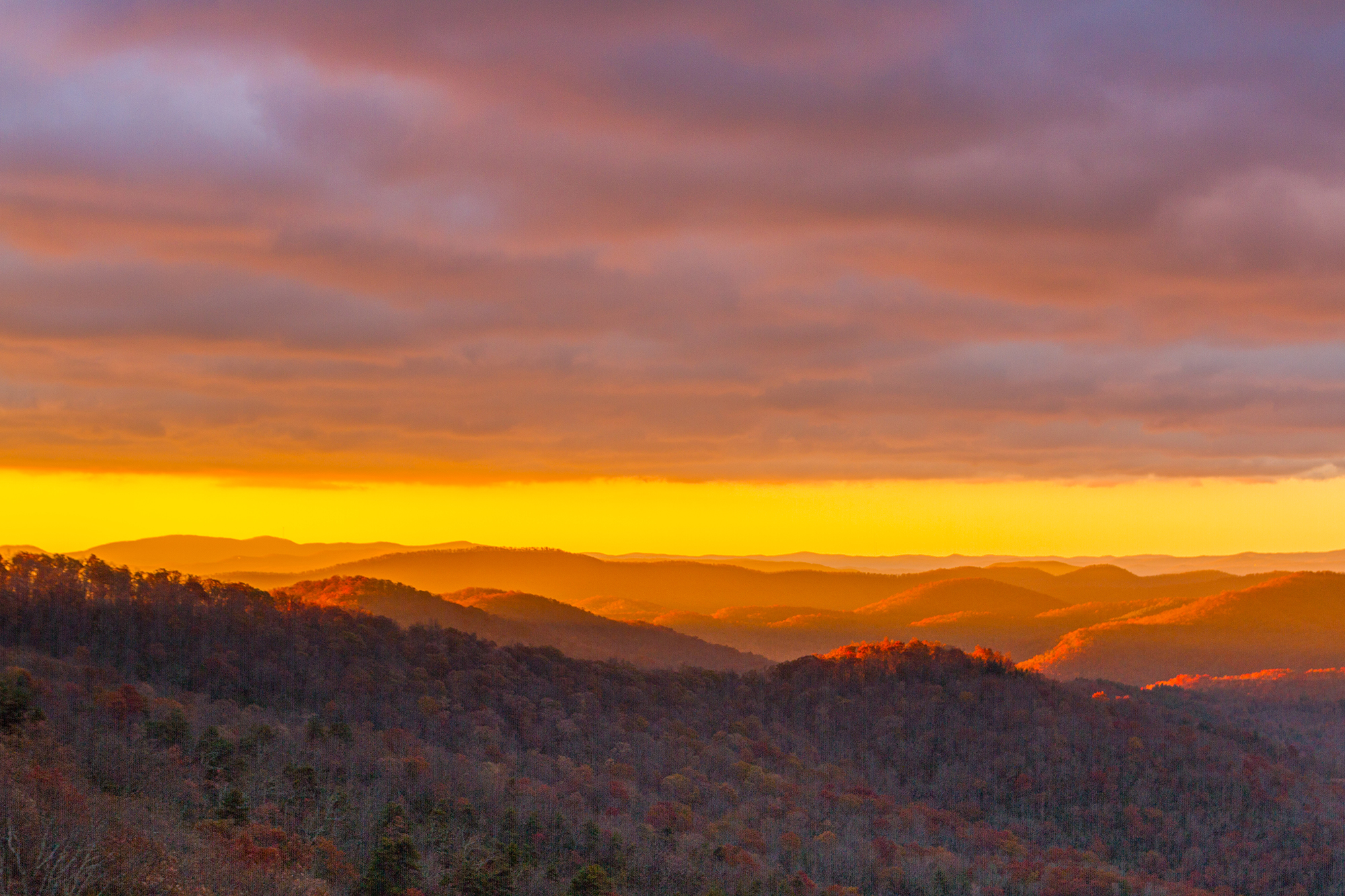 Pisgah Inn in Canton, NC