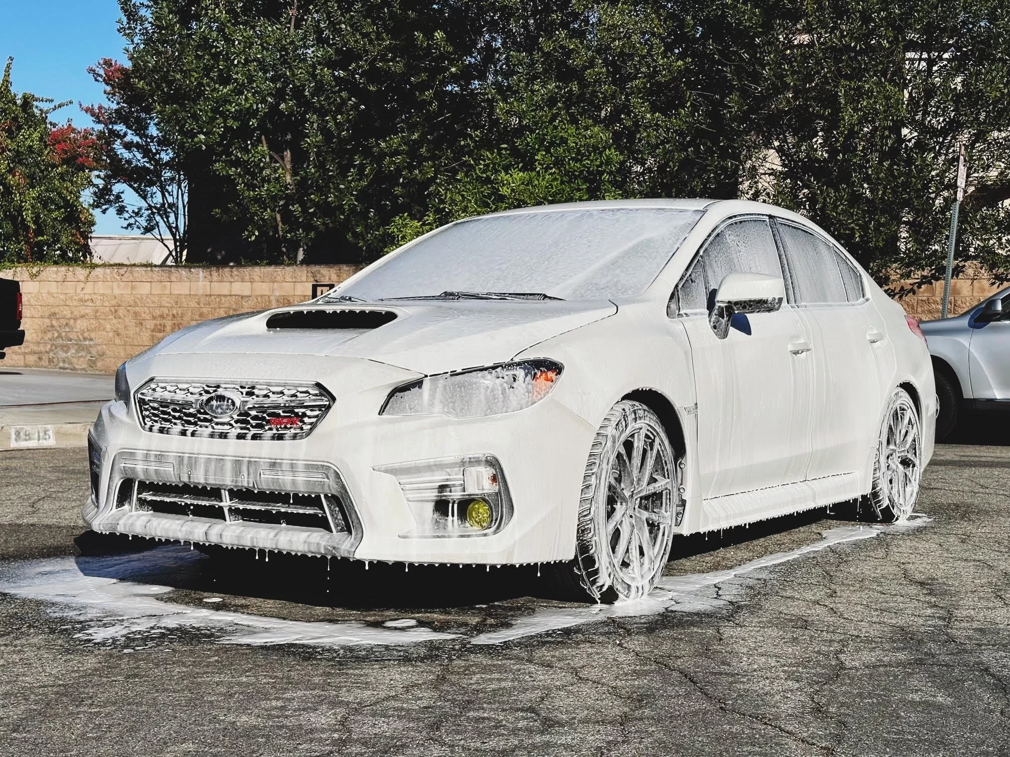 Bella Vista Auto Mobile Detailing in Garland, TX (4)