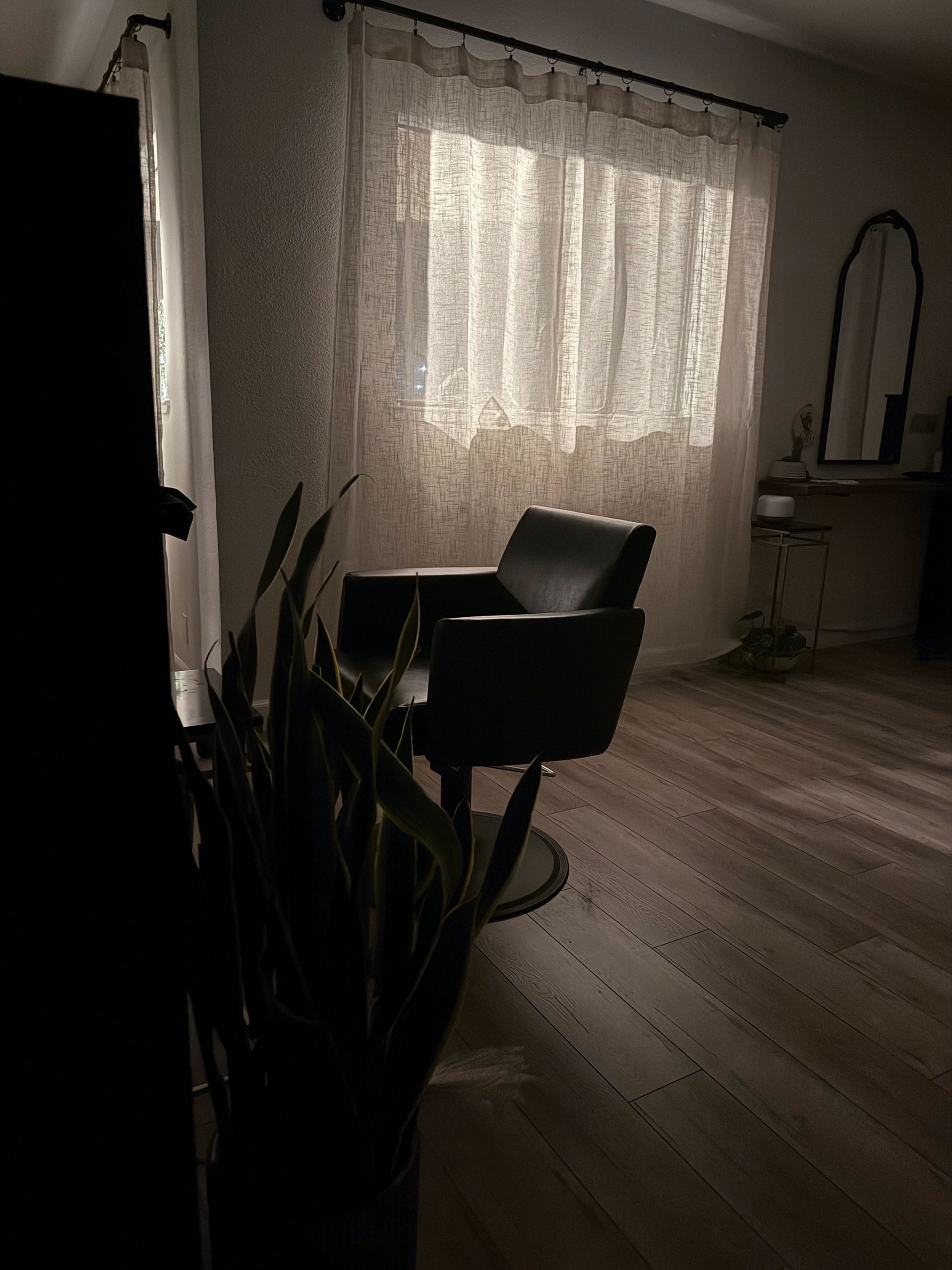 Willows Mane Studio in Vacaville, CA