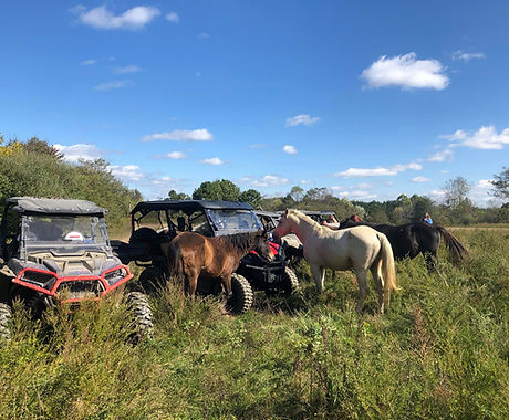 Black Gold Off-Road Tours in Iaeger, WV (2)