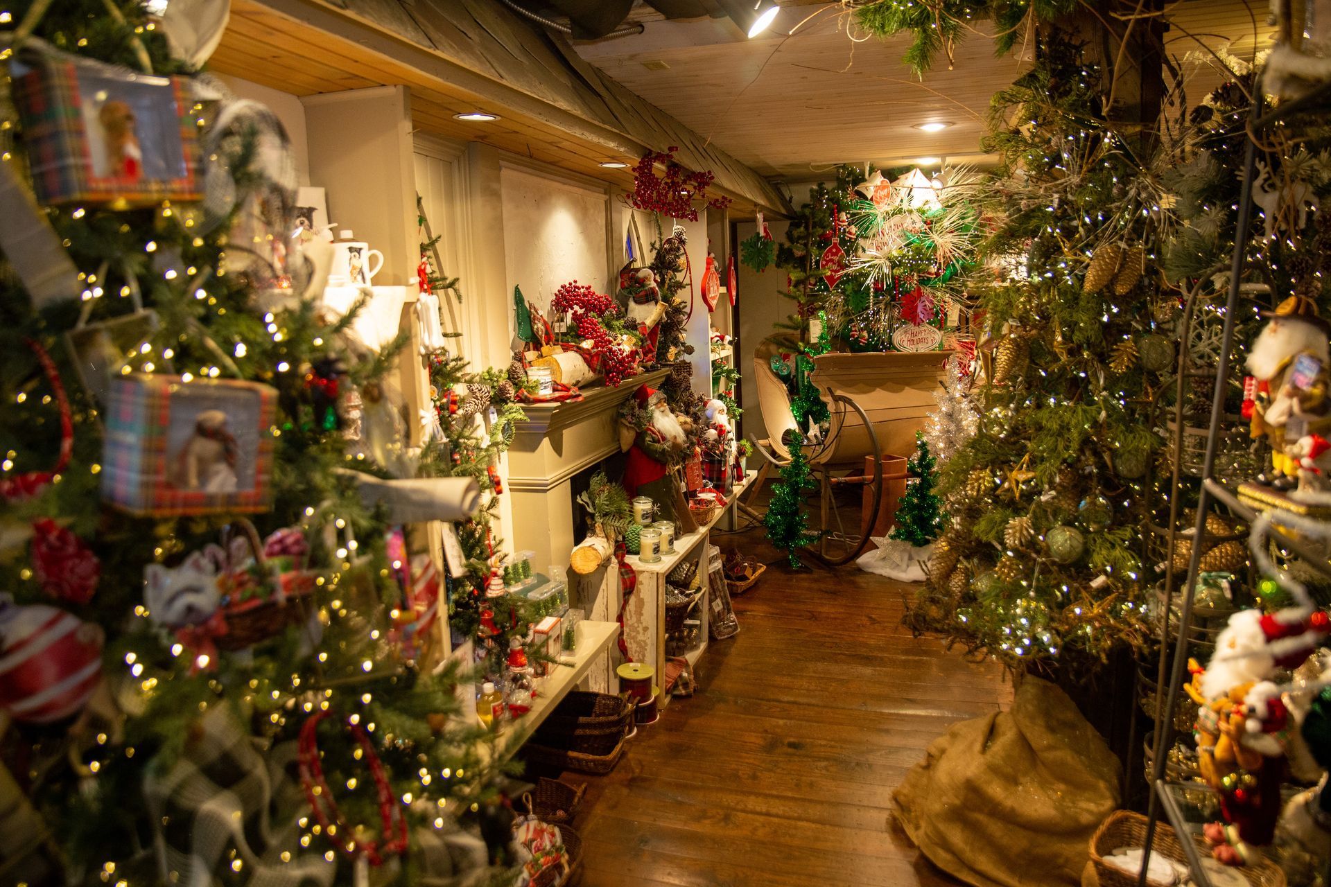 Pine Tree Barn in Wooster, OH (2)