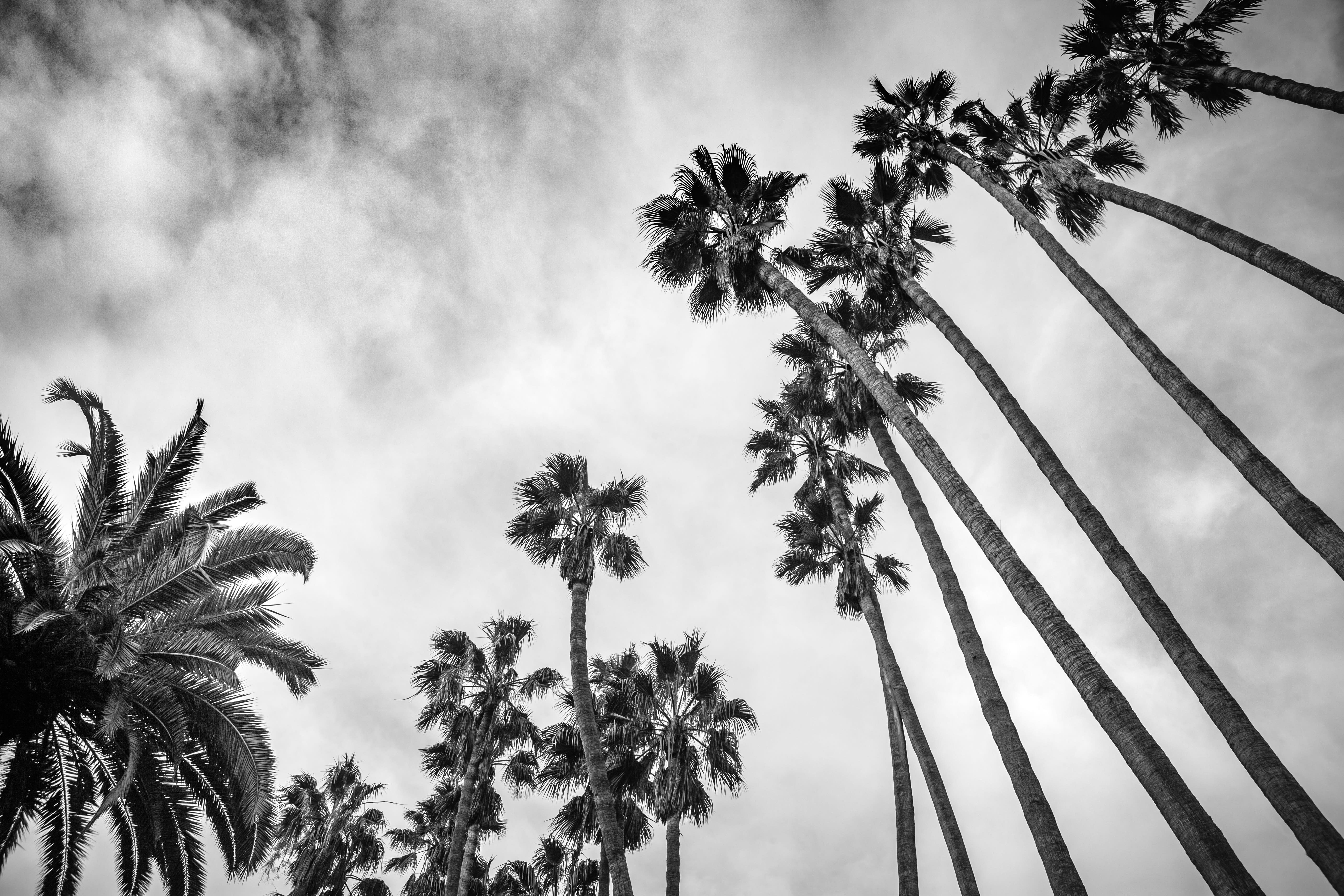 The Collective, Realty in West Hollywood, CA