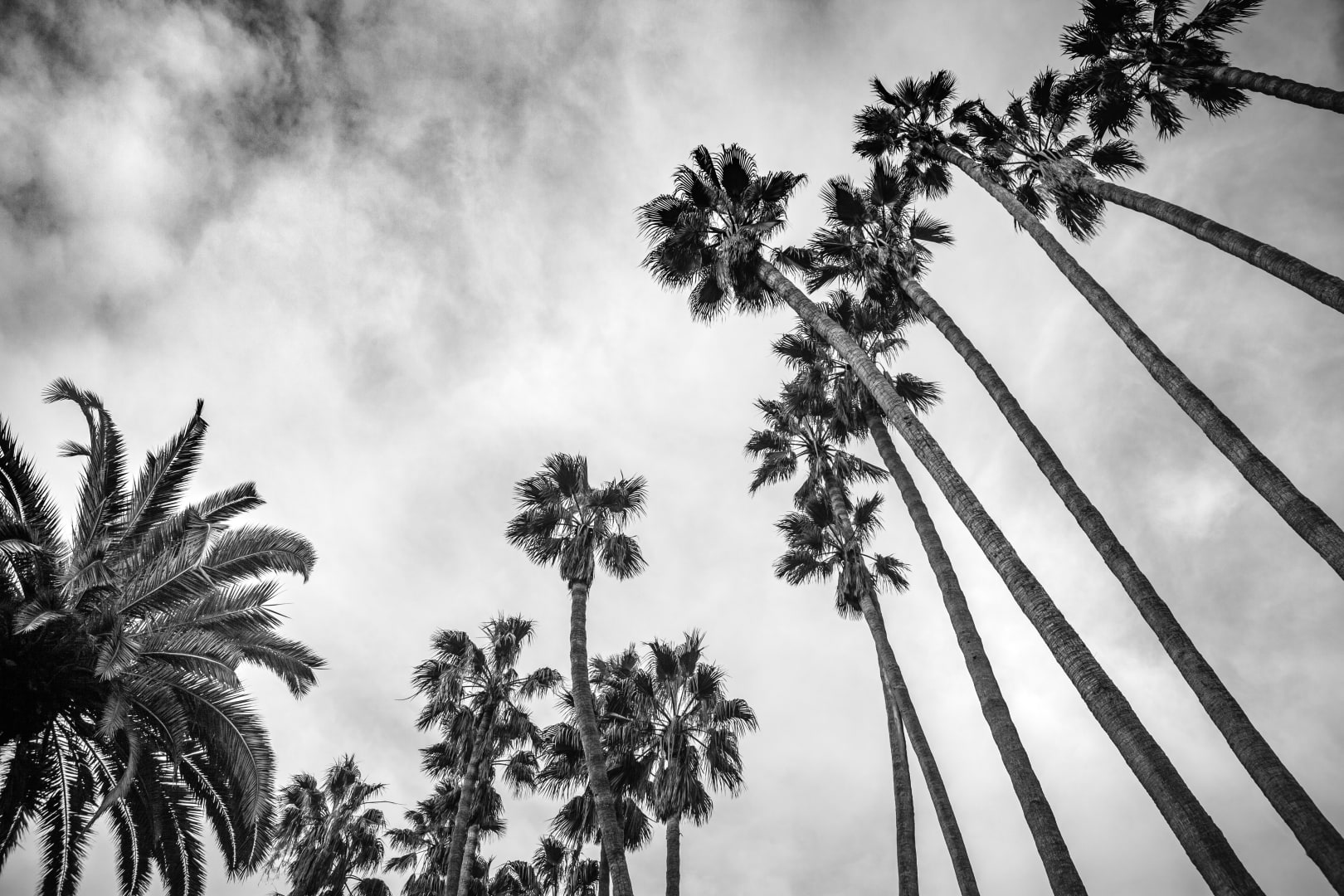 The Collective, Realty in West Hollywood, CA (3)