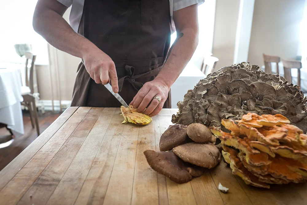 Bolete in Bethlehem, PA