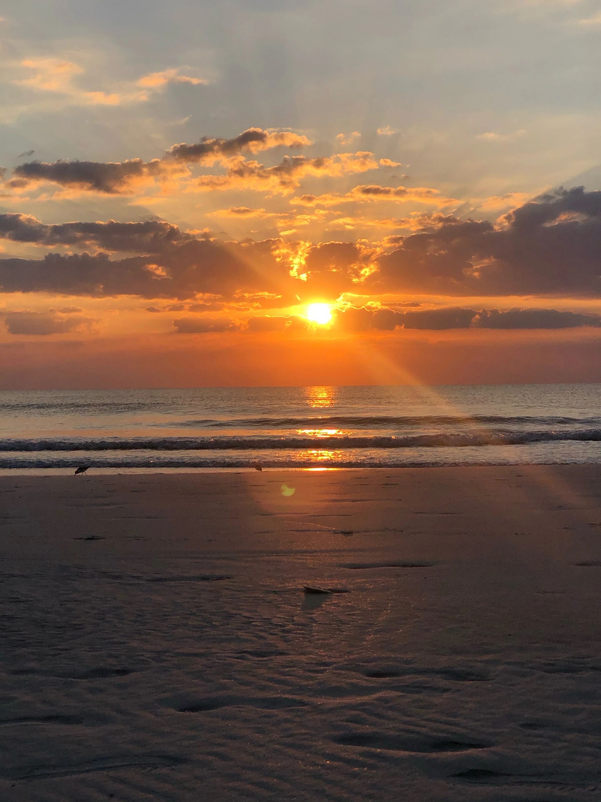 Buy The Sea Realty in New Smyrna Beach, FL