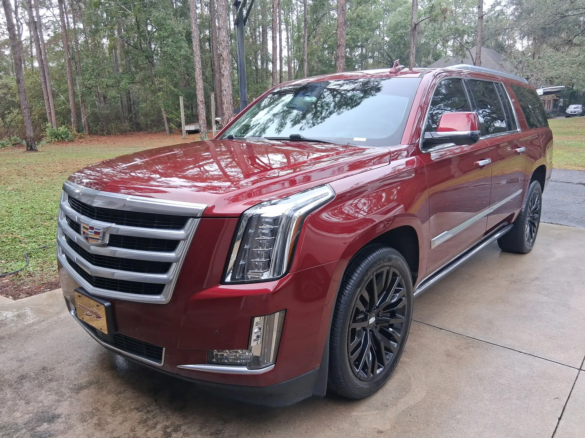Diamond Auto Spa Detailing LLC (Mobile Detailing) in Eustis, FL (3)