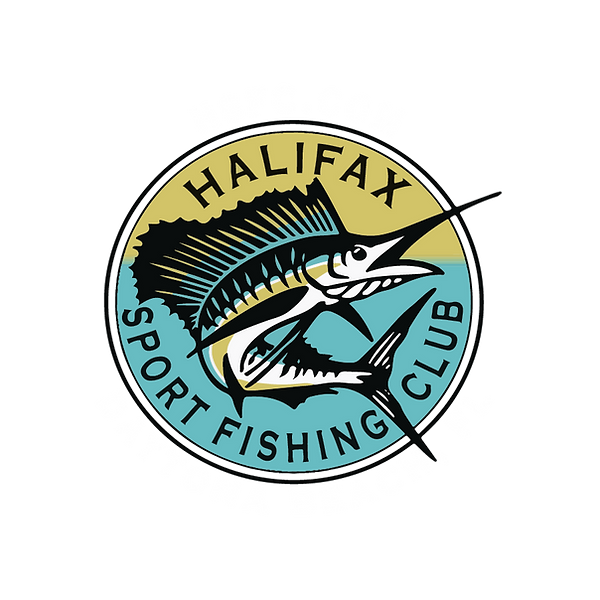 NSB Shark Hunters in Edgewater, FL (2)