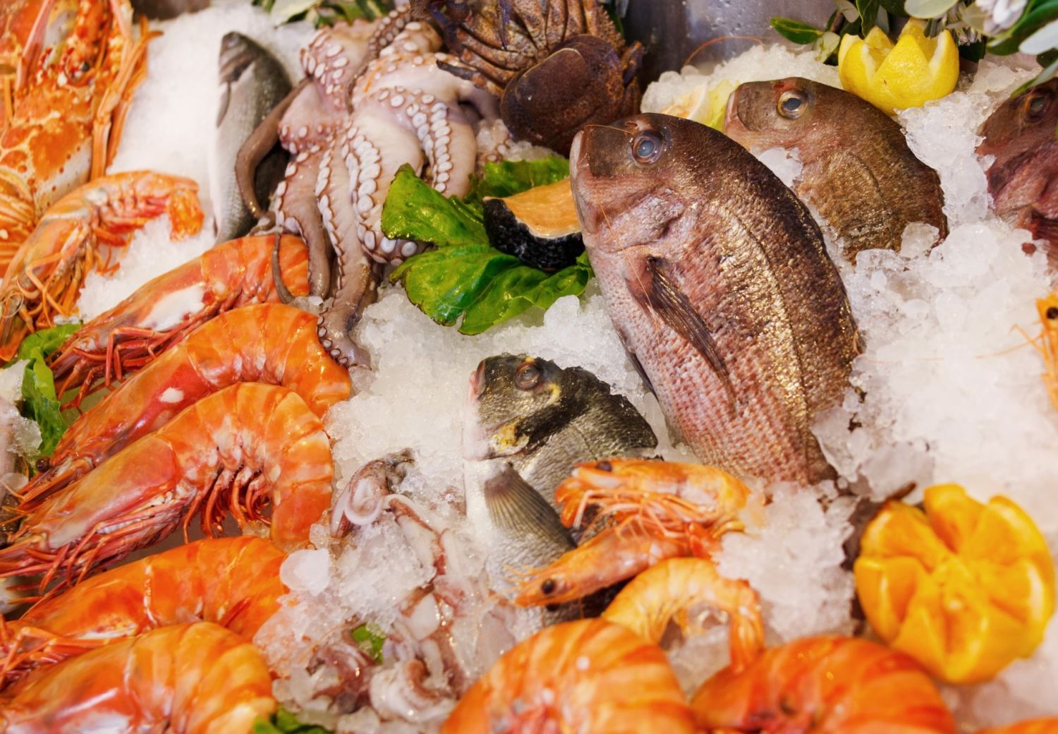 Red Claw | Juicy Seafood & Bar in Statesboro, GA (4)