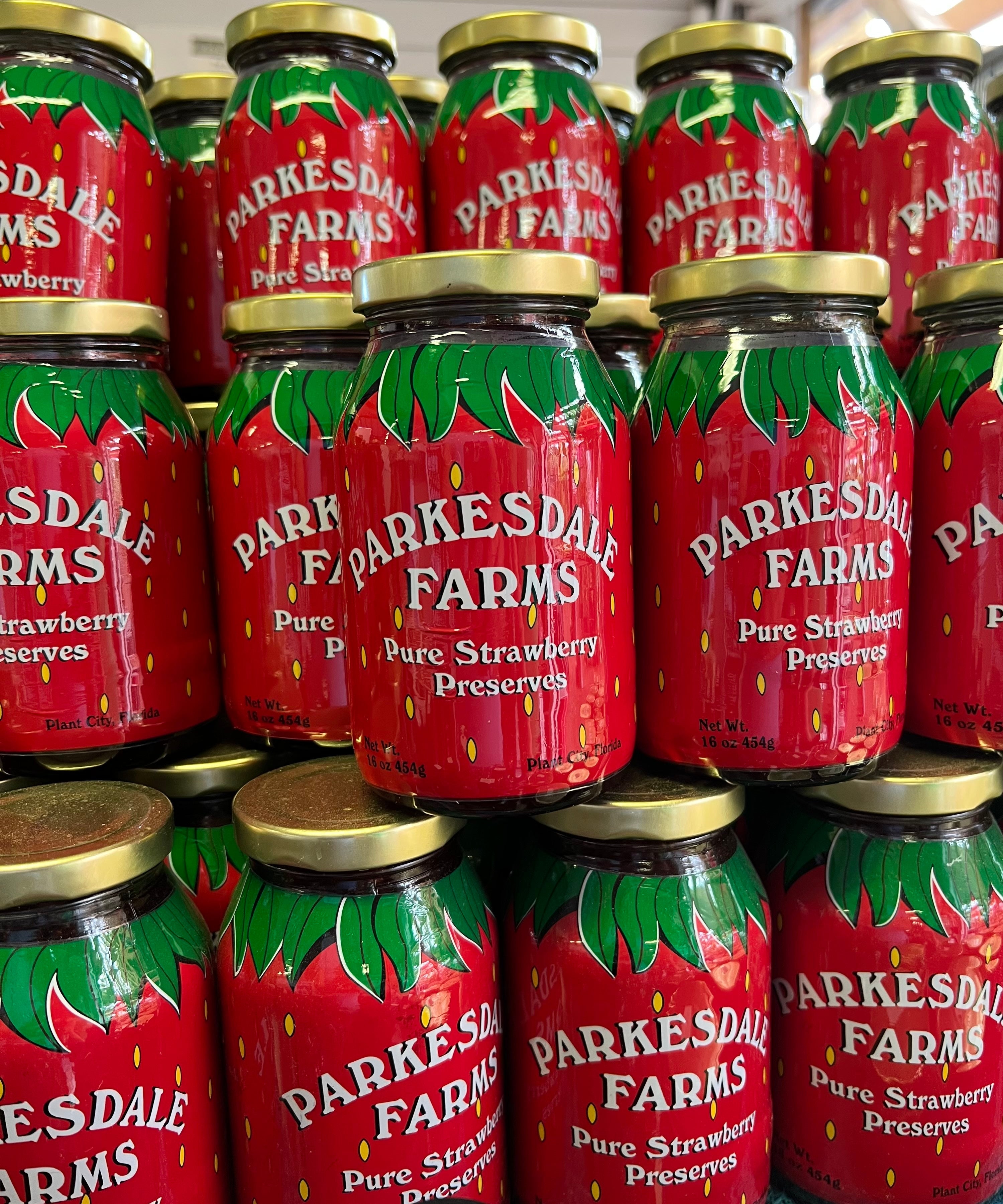 Parkesdale Farm Market in Plant City, FL (3)