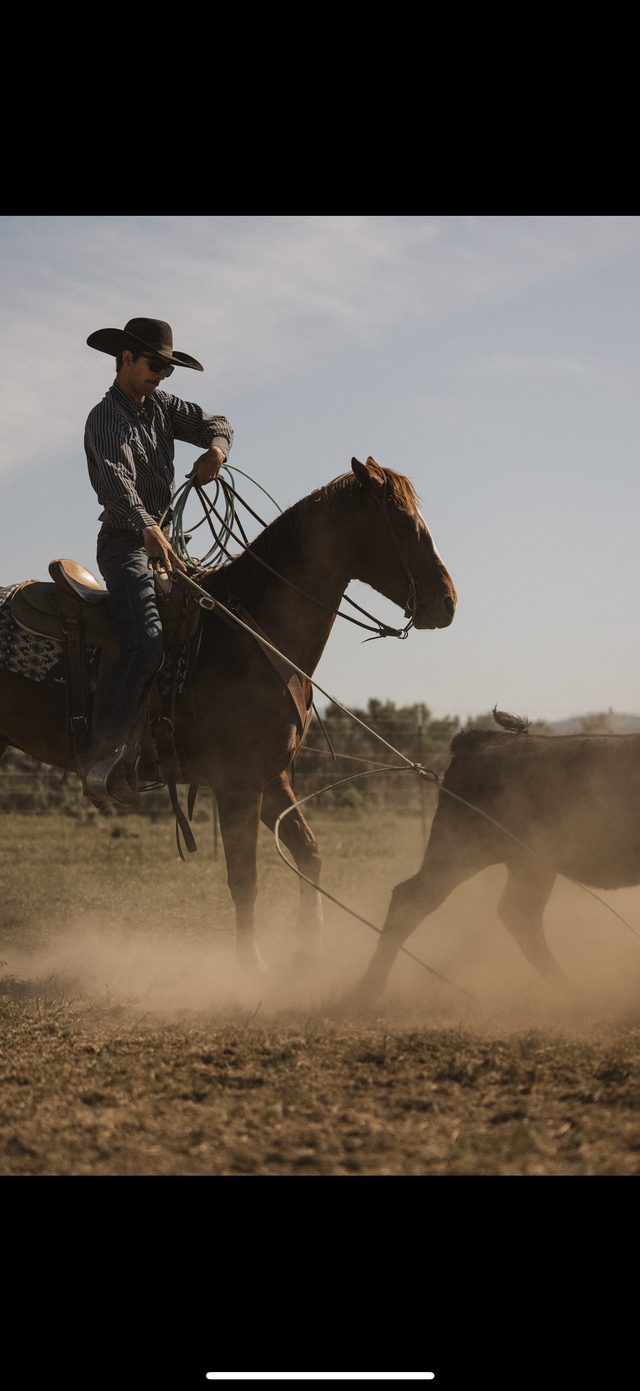 Reuck And Company in Alturas, CA