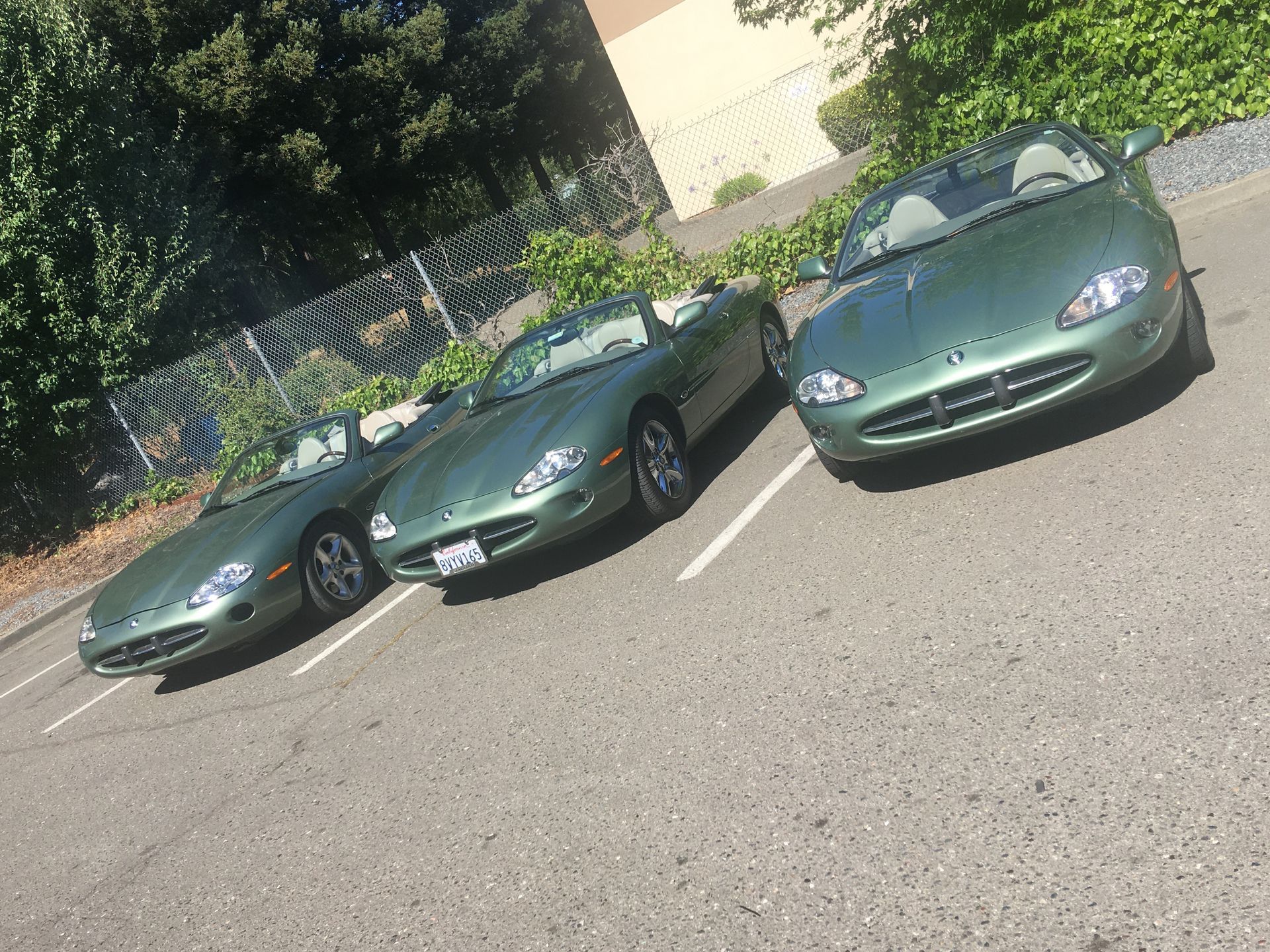 British European Motors in Cotati, CA (2)