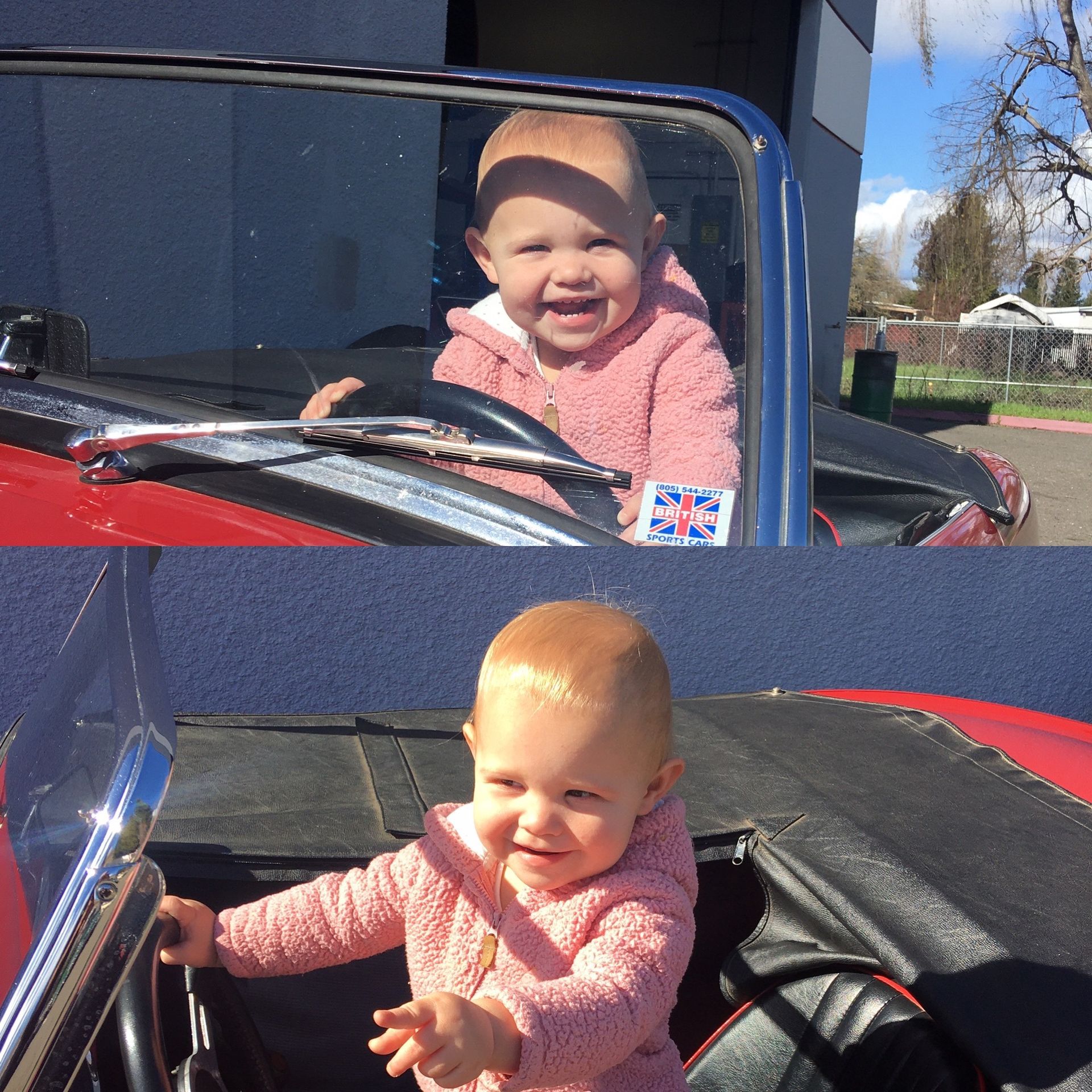 British European Motors in Cotati, CA (3)