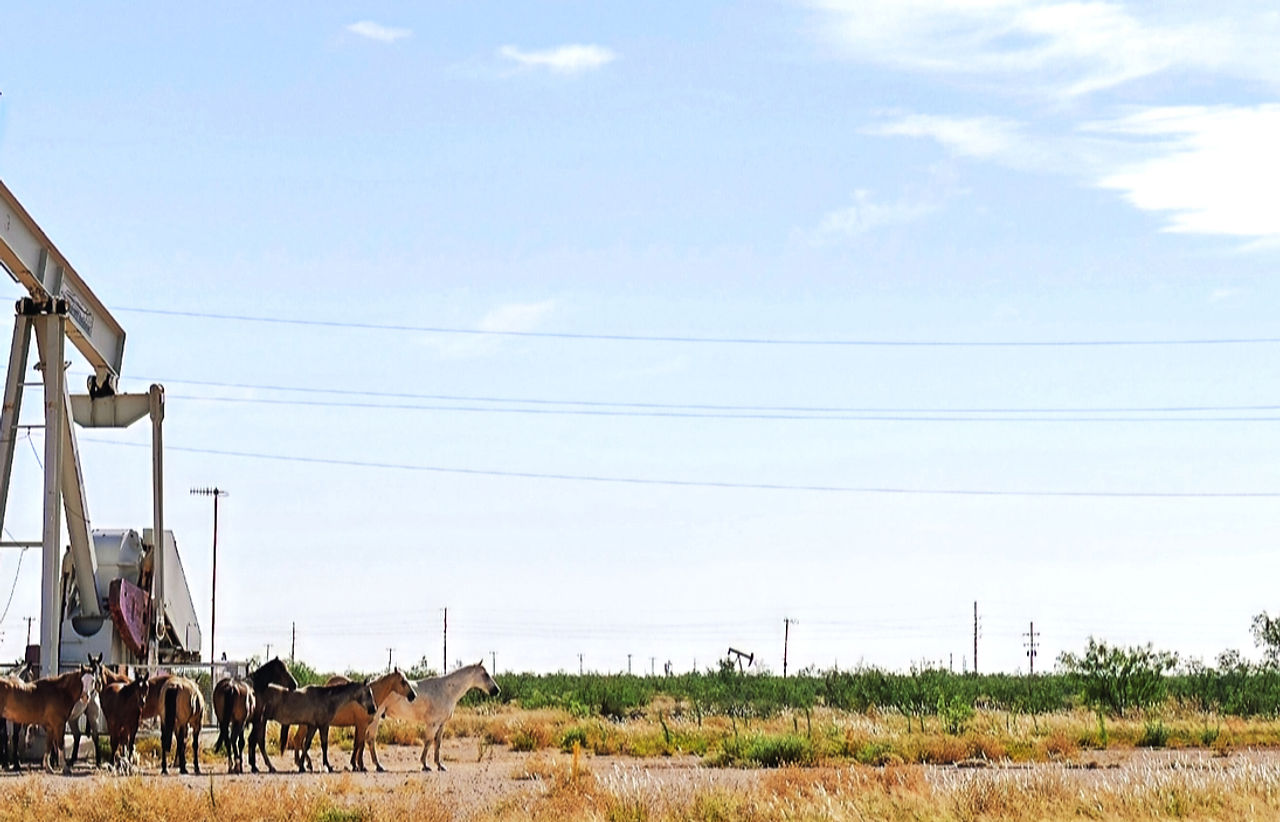 Ricker Law Firm, P.C. in Littlefield, TX (2)