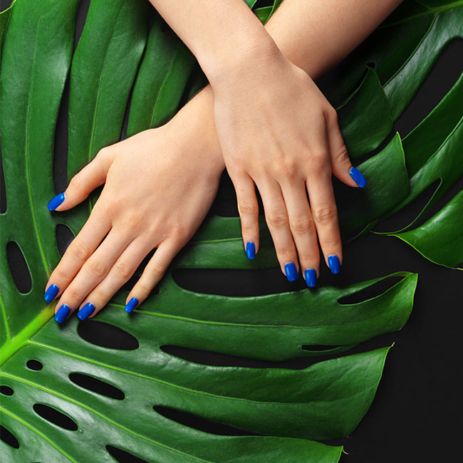 Belle Vie Nails Spa in Oakland, TN (3)