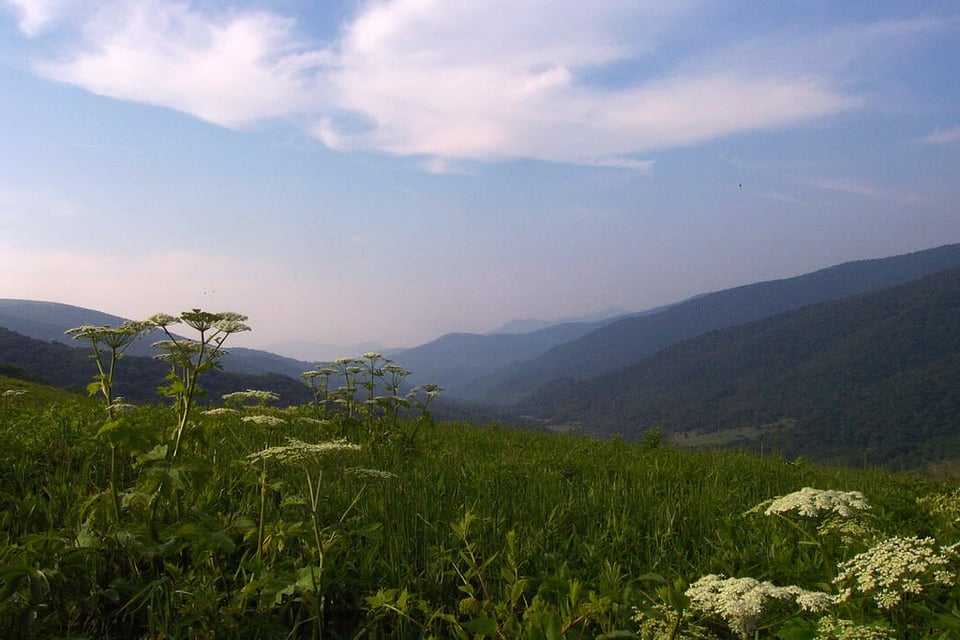 Mountain Life Properties in Highlands, NC (6)