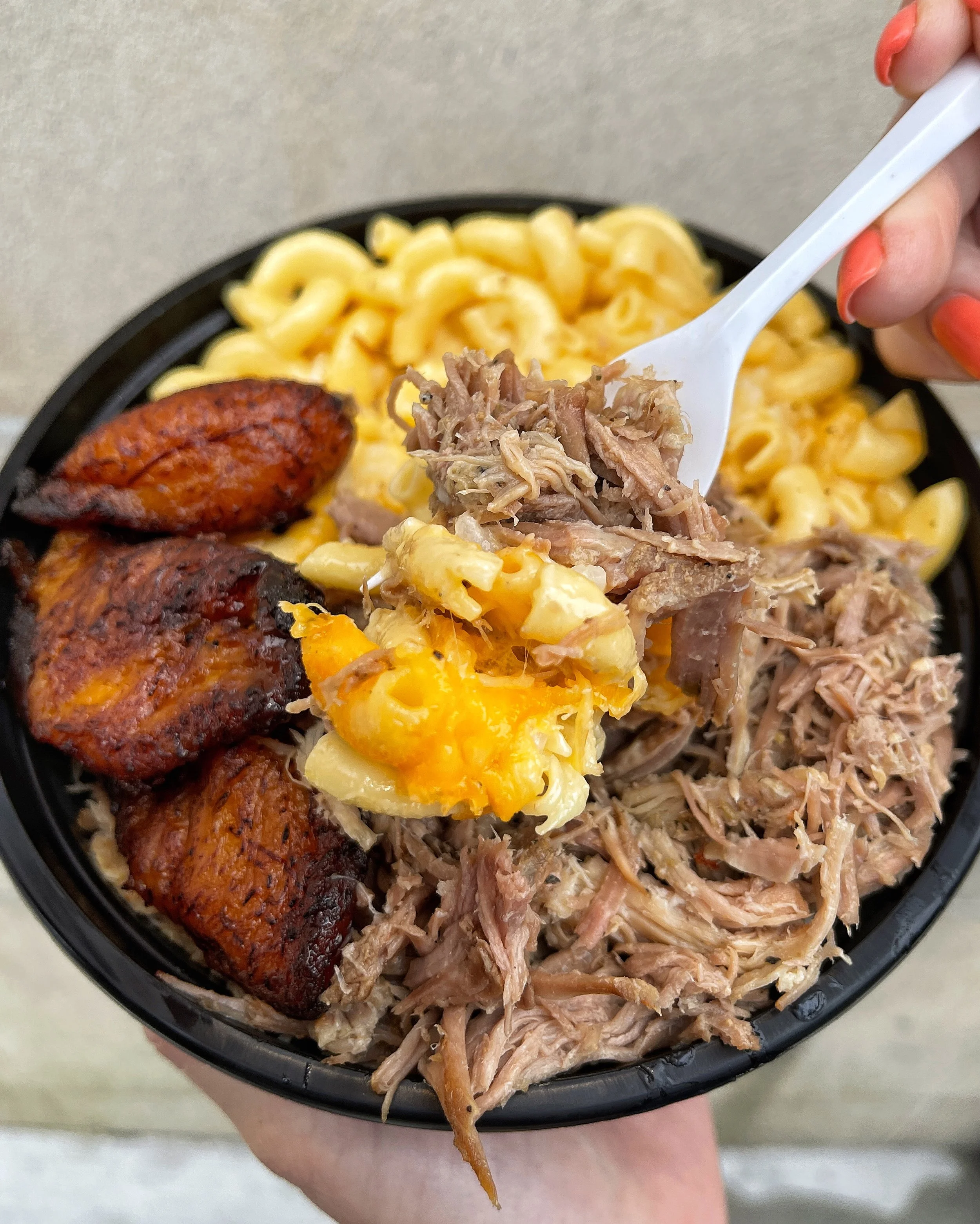 Punta Cana Dominican Grill in Westbury, NY (2)