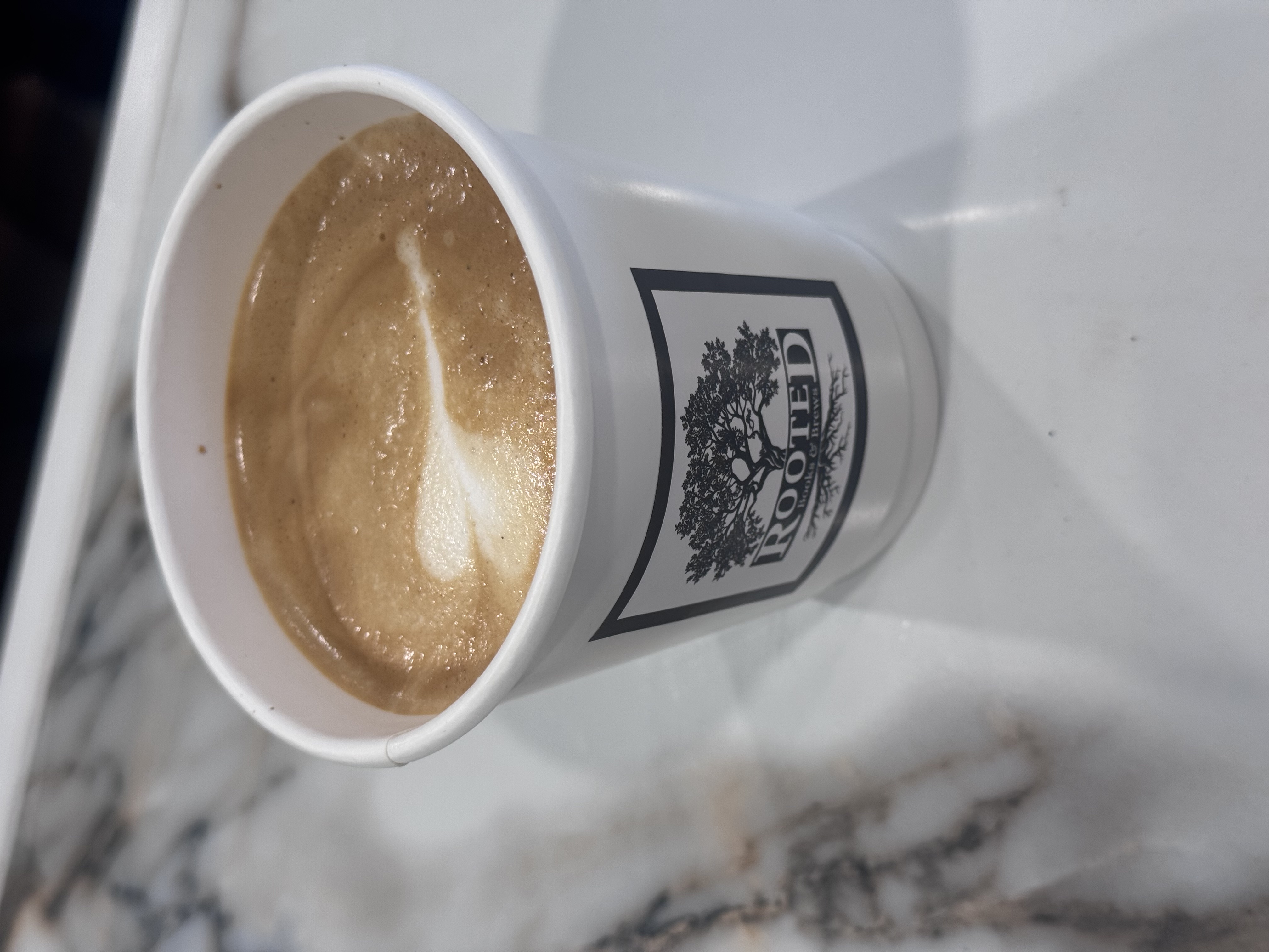 Rooted Books & Brews in Wauchula, FL (3)