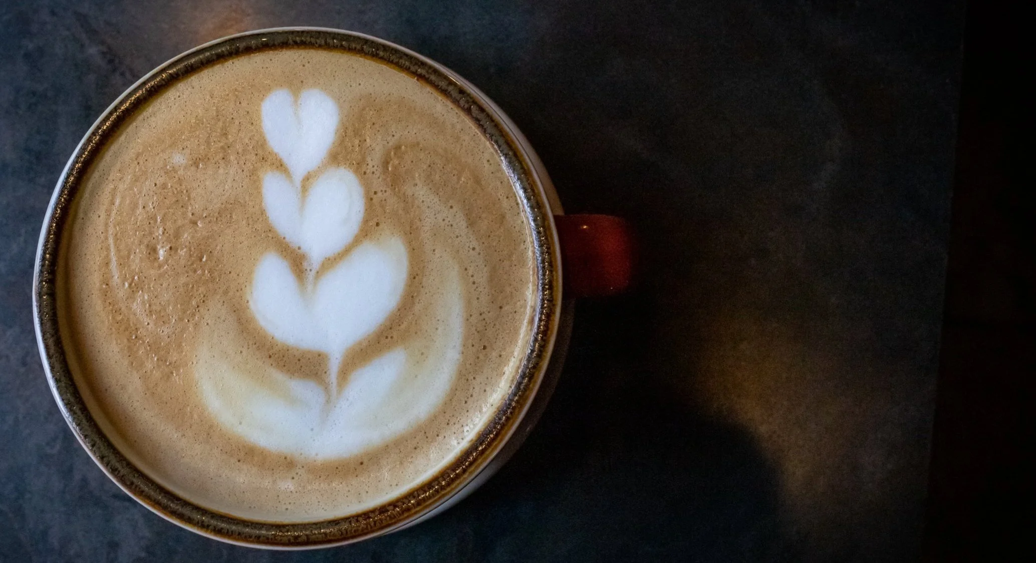 Terra Café in Morgantown, WV (2)