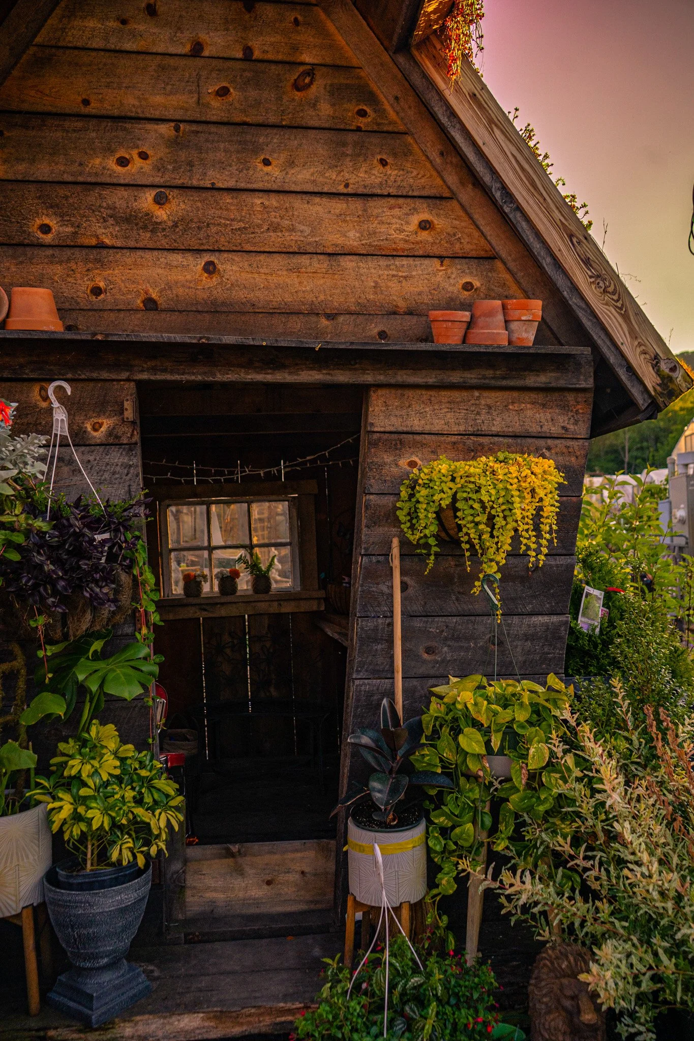 Martin's Garden Center in Tyrone, PA (6)