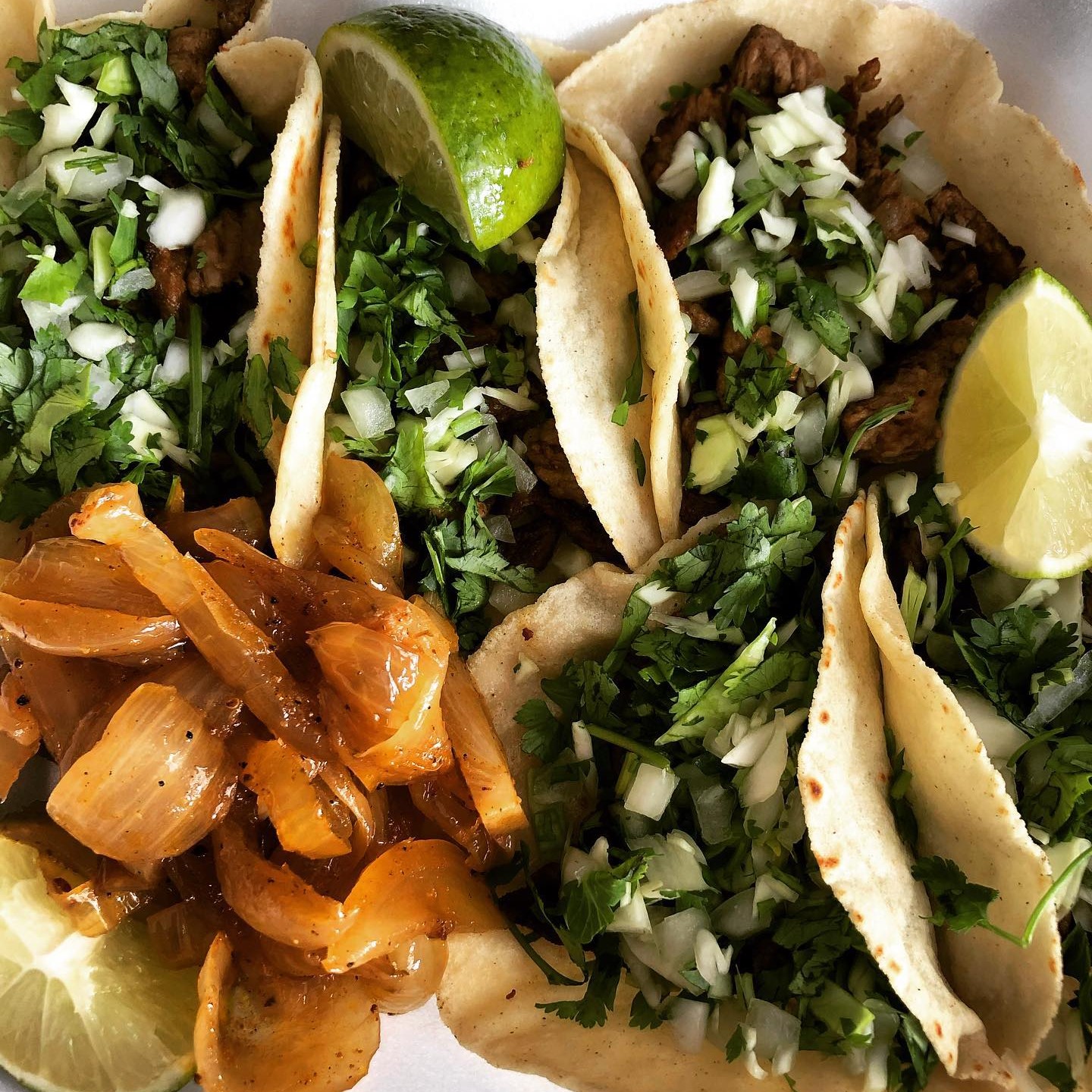 Adri's Tacos in Plant City, FL (6)