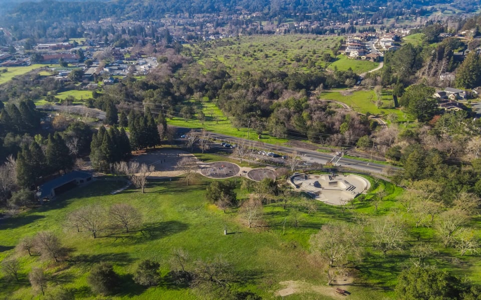Shannon Conner | Orinda, CA Real Estate Agent in Orinda, CA (5)