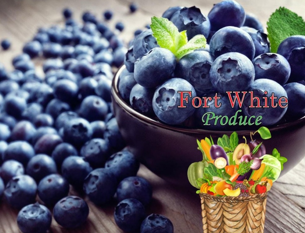 Fort White Produce in Fort White, FL