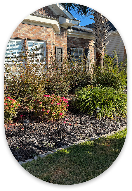 Yardie Care Plus in Myrtle Beach, SC (3)