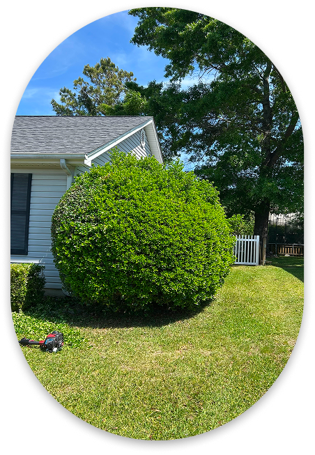 Yardie Care Plus in Myrtle Beach, SC (4)