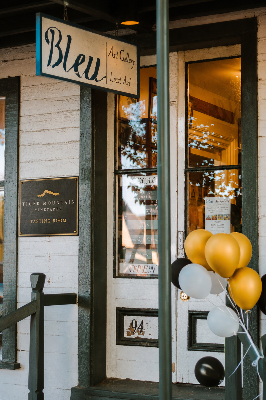 Tiger Mountain Vineyards & Wedding Venue in Tiger, GA