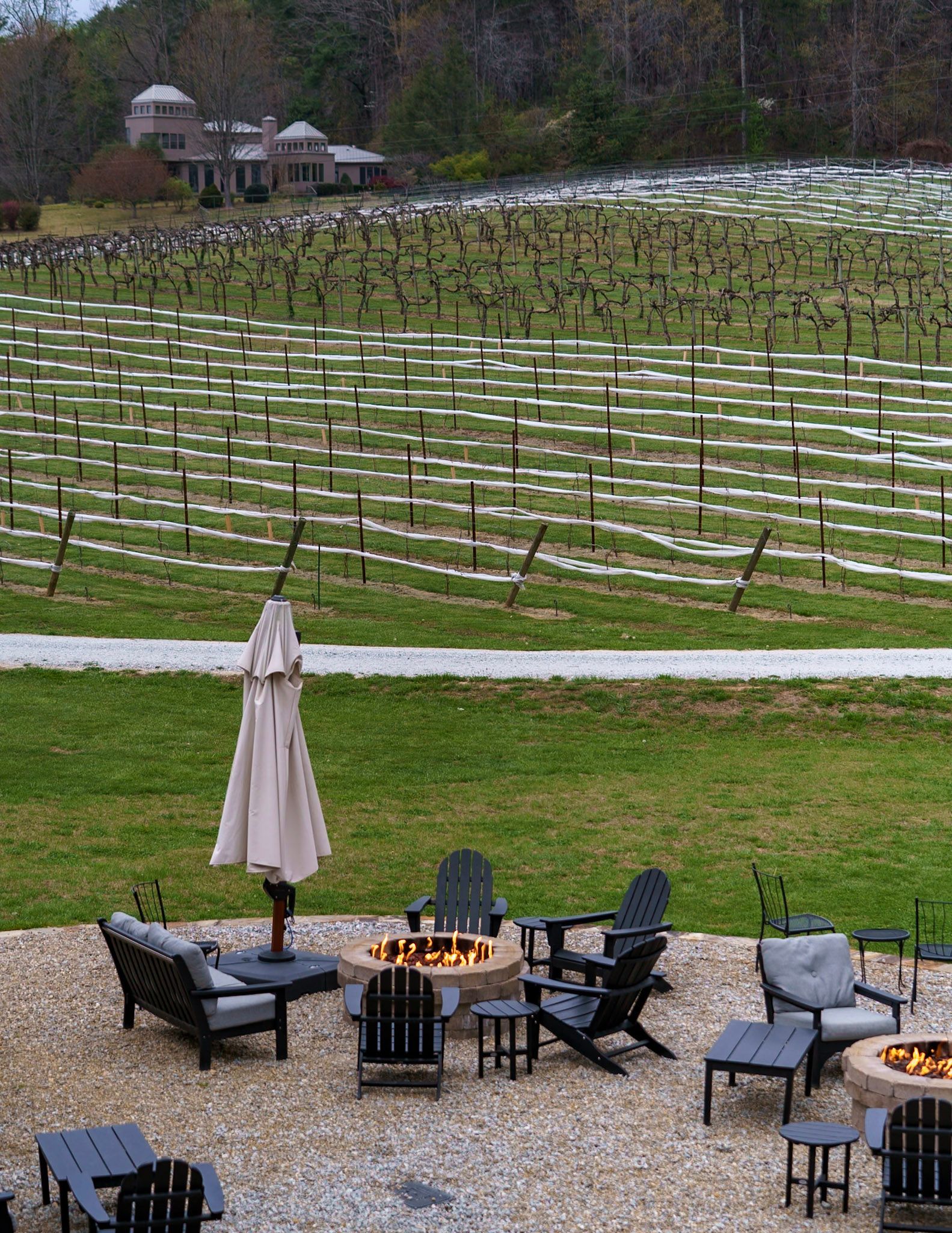 Tiger Mountain Vineyards & Wedding Venue in Tiger, GA (6)