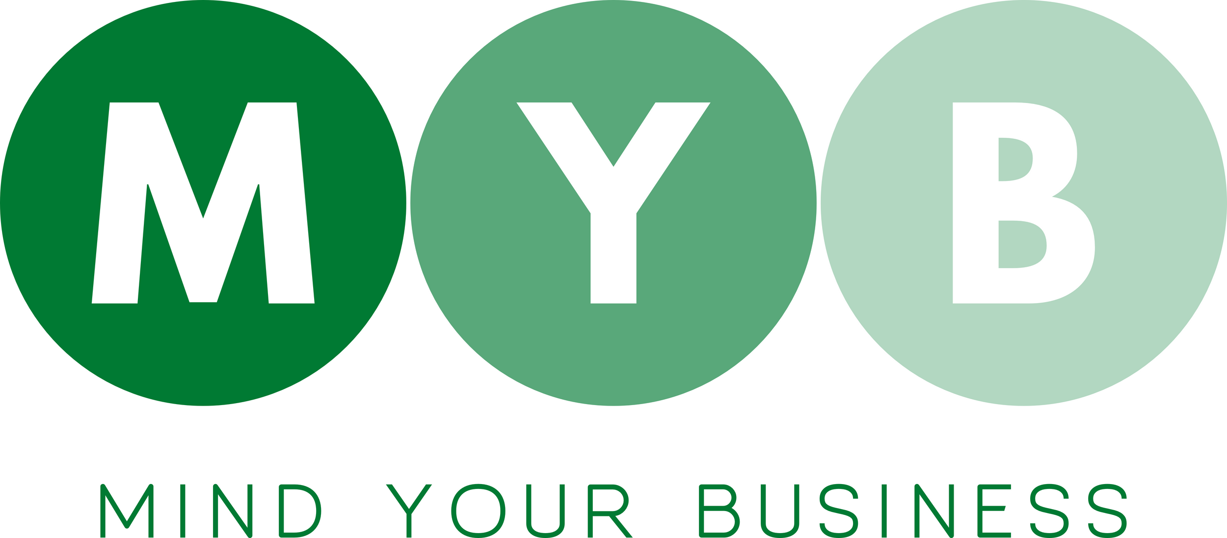 MYB Accounting and Consulting Services, Inc. (Mind Your Business Accounting) in Indianapolis, IN (2)