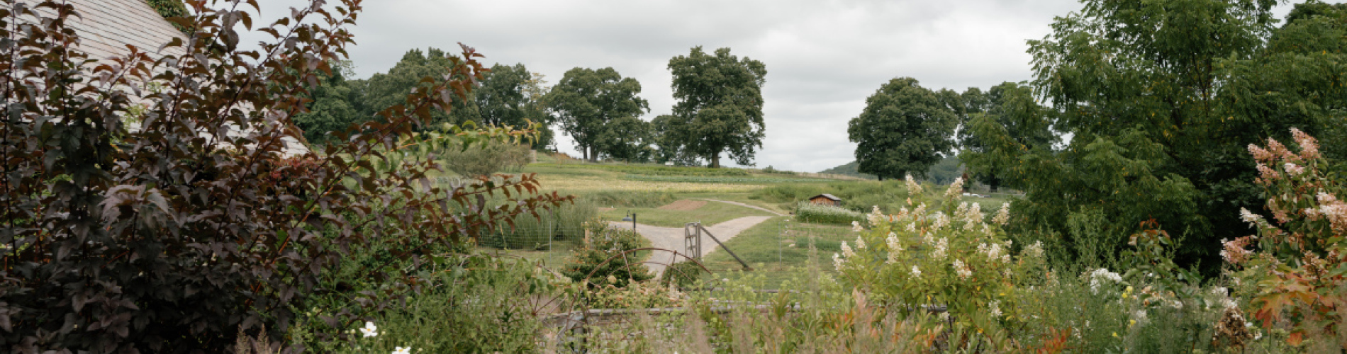 Blue Hill At Stone Barns in Tarrytown, NY (2)