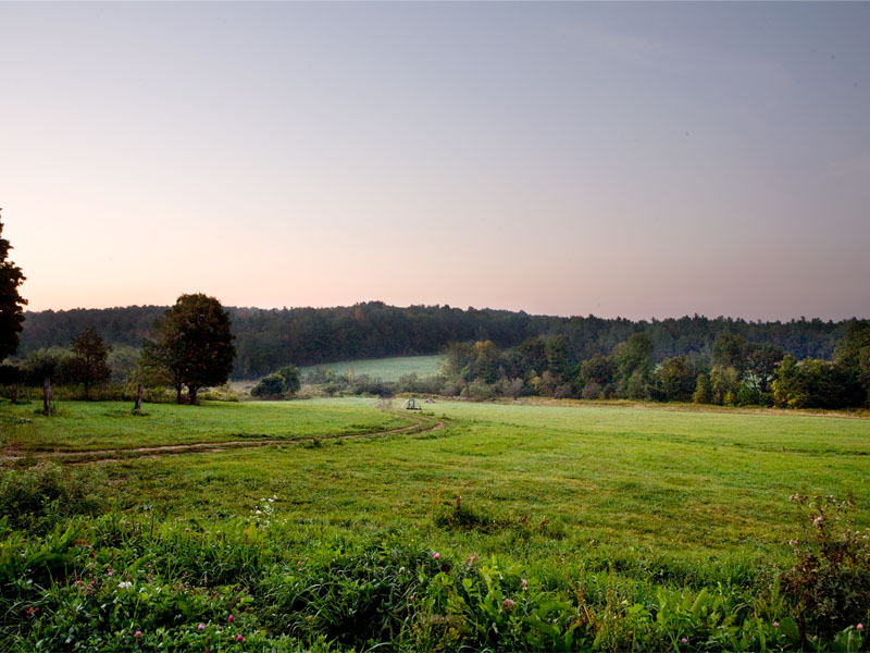 Blue Hill At Stone Barns in Tarrytown, NY (5)