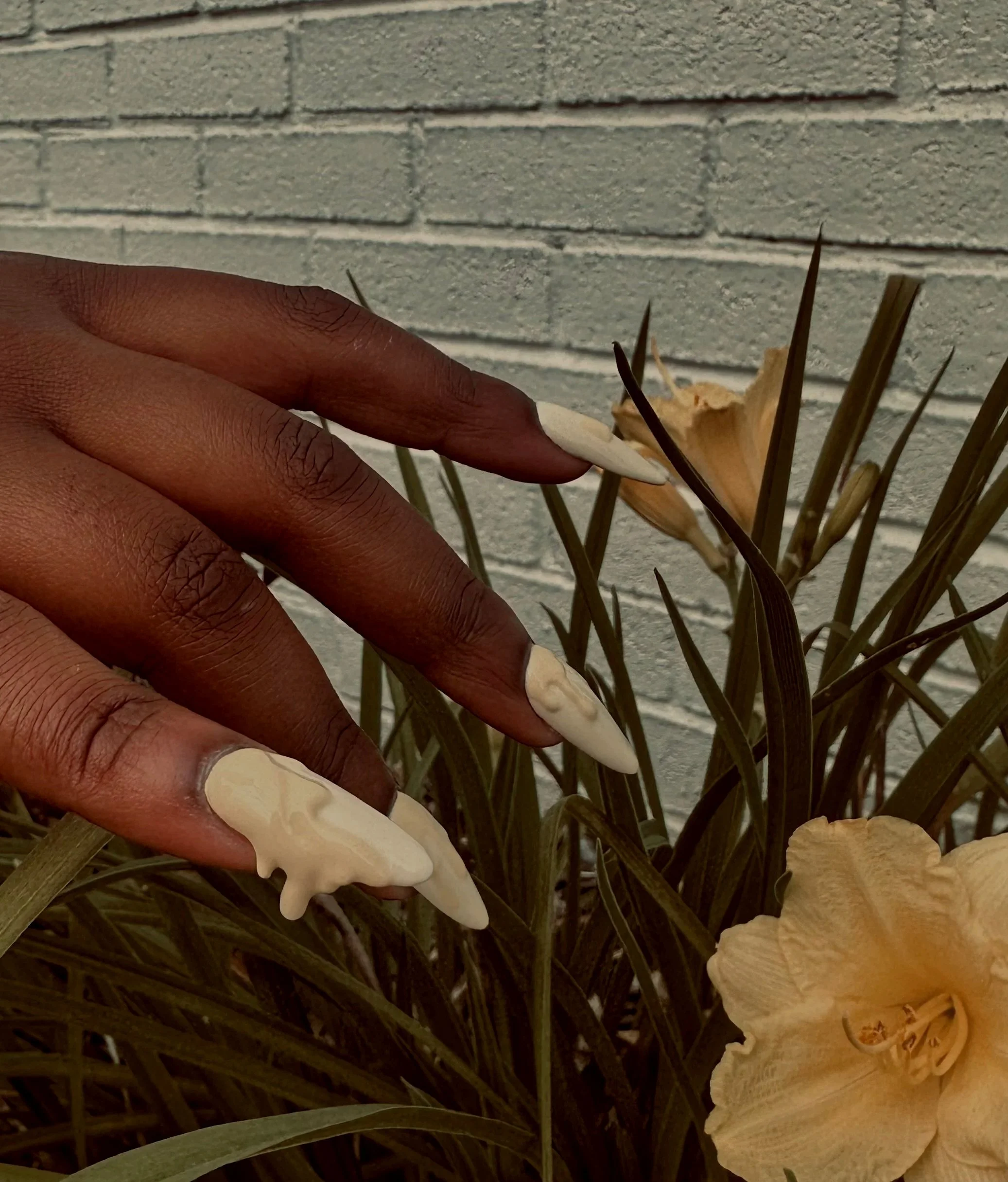Mani Maeve in Indianapolis, IN (2)