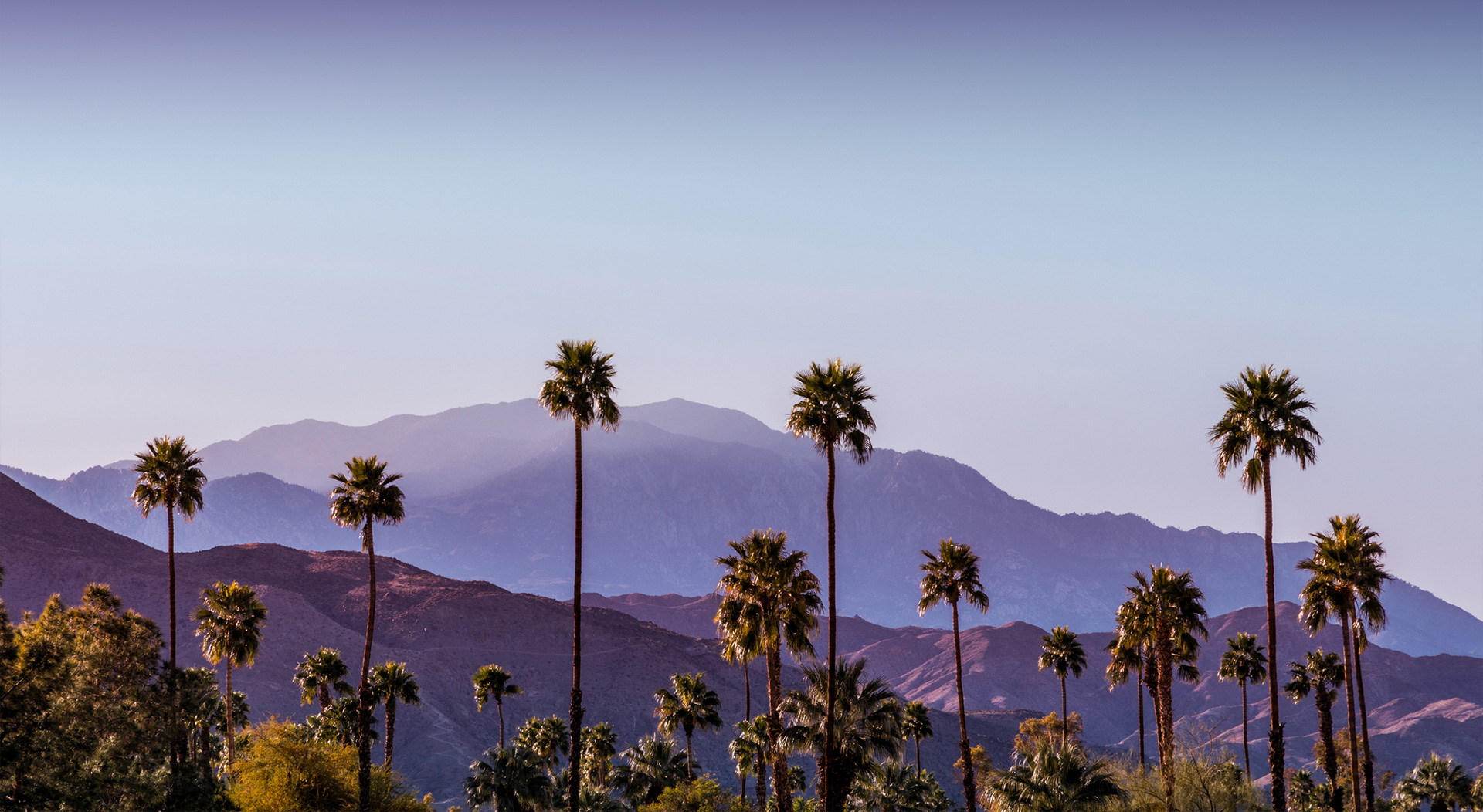 Alvandi Law Group, P.C. in Corona, CA (2)