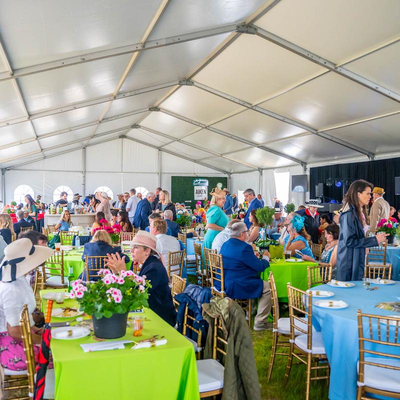 Blue Collard in Aiken, SC (2)