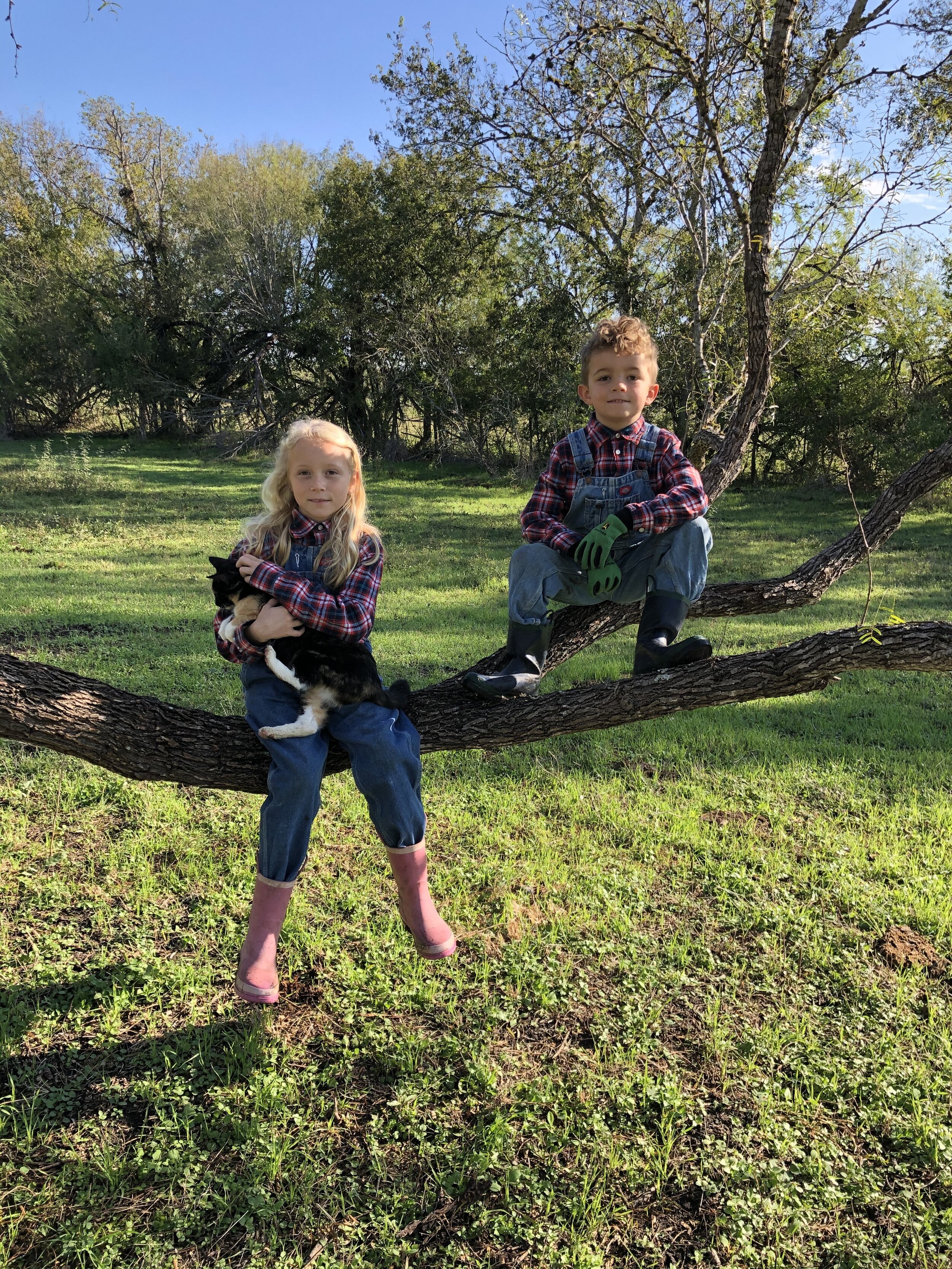 Pura Vida Farm SA in Natalia, TX (2)