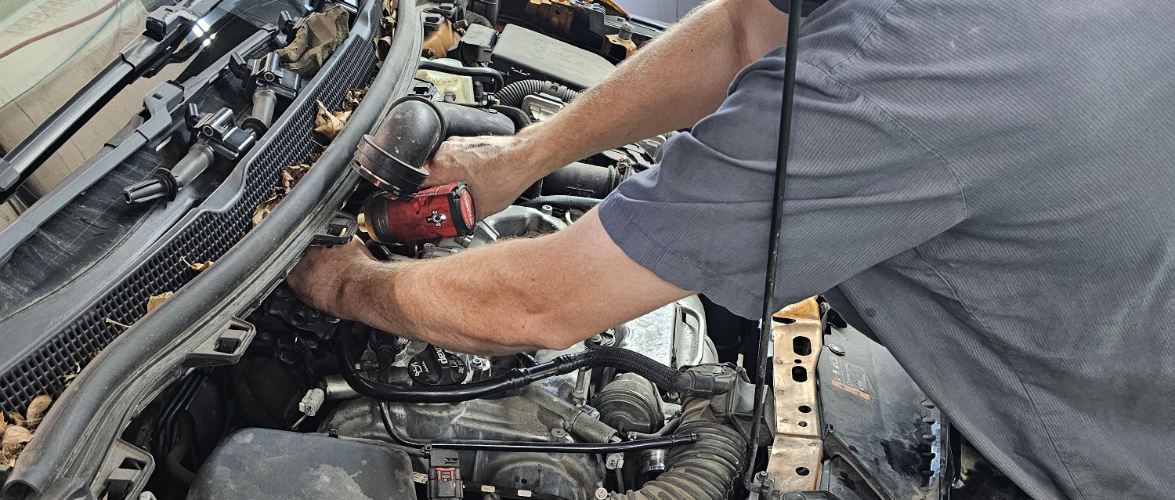 Maple City Automotive in Norwalk, OH (2)
