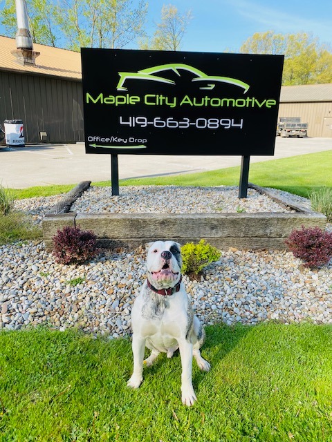 Maple City Automotive in Norwalk, OH (3)