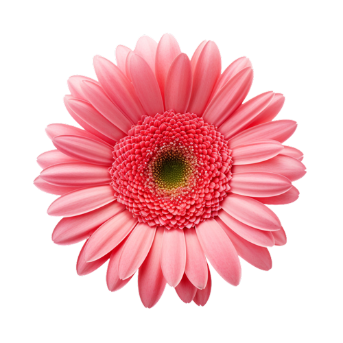 Nail passions ( 10% off military,10% pedi gel Mon-Wed) in Universal City, TX (2)