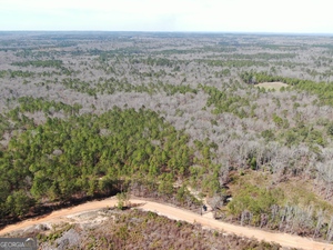 Summit Real Estate in Butler, GA (4)
