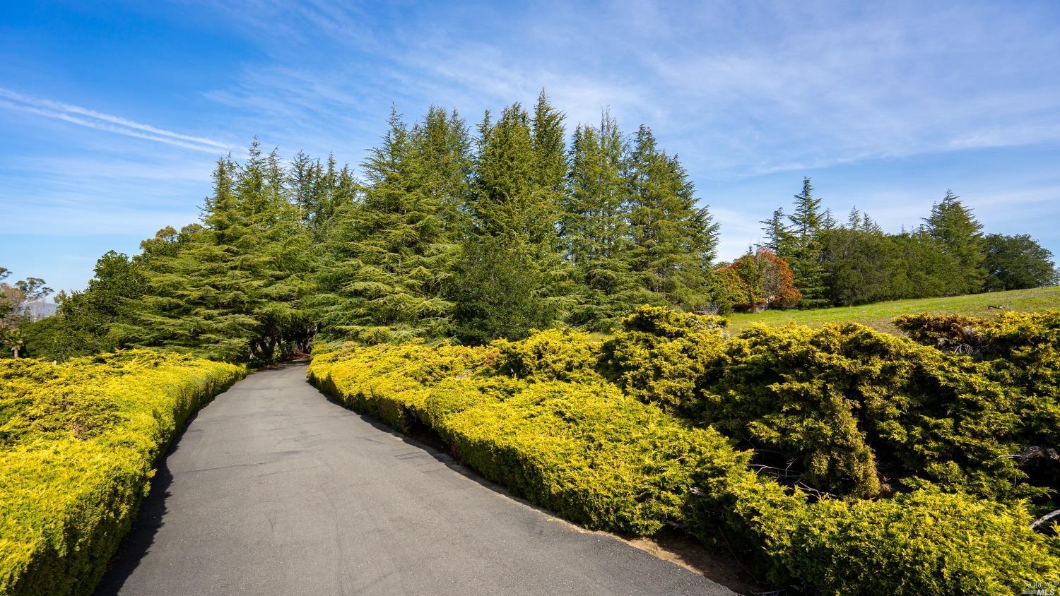 Hilary Thomas Realtor in Petaluma, CA (3)
