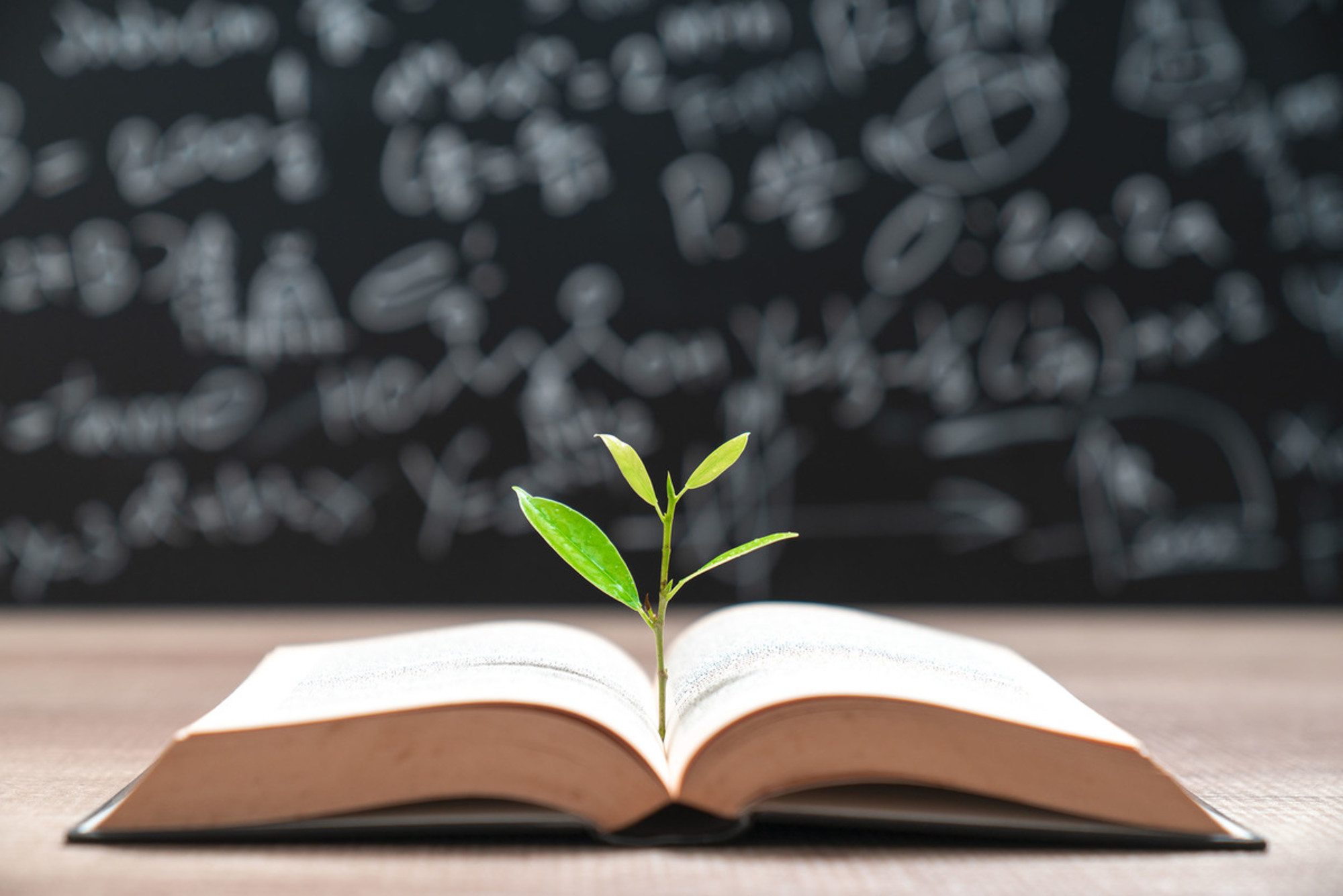 Redeemed Business and Tax Services in Long Beach, CA