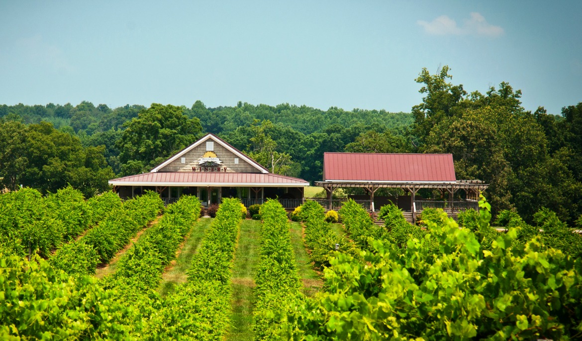 Woodmill Winery in Vale, NC (3)