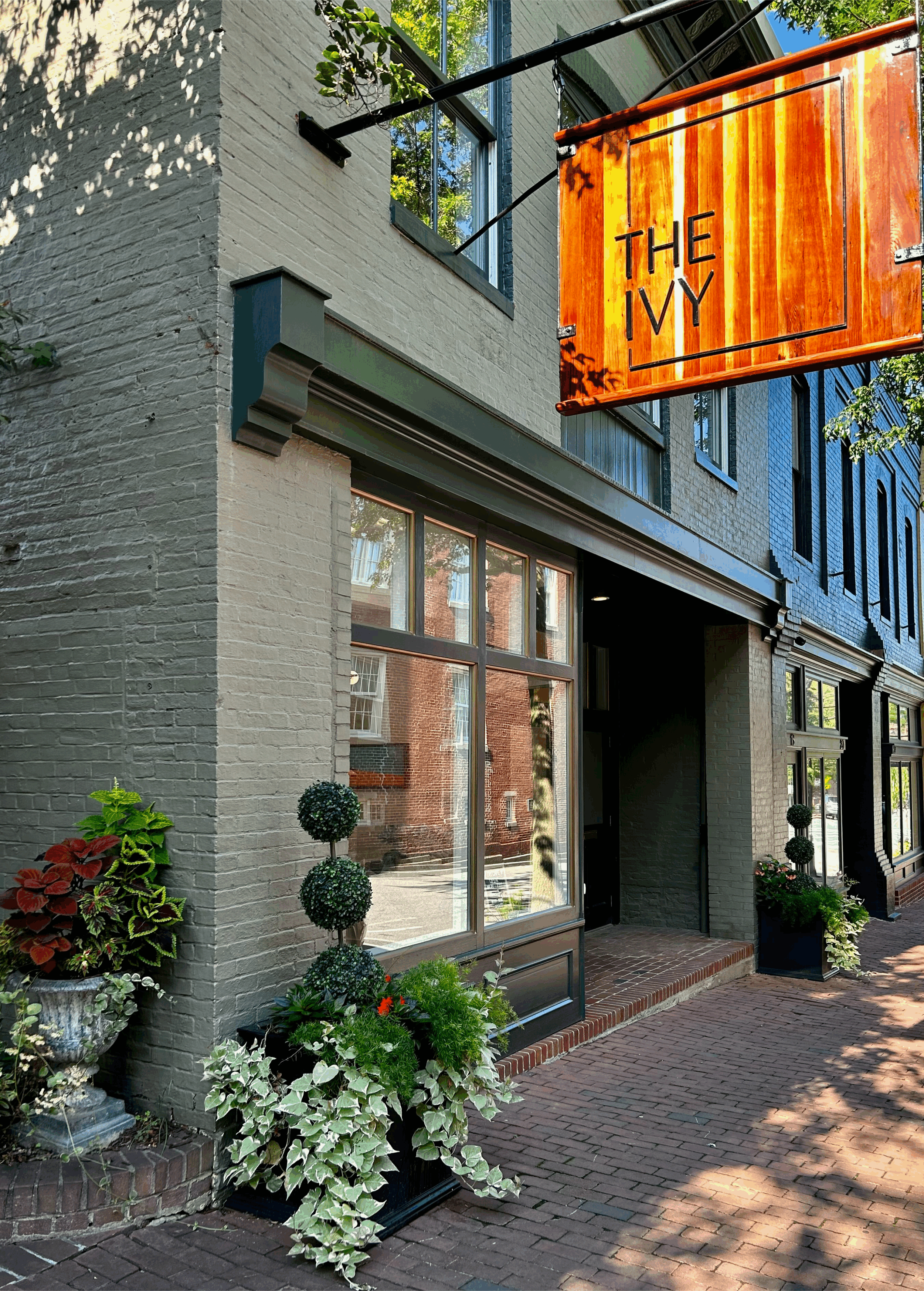 The Ivy in Easton, MD