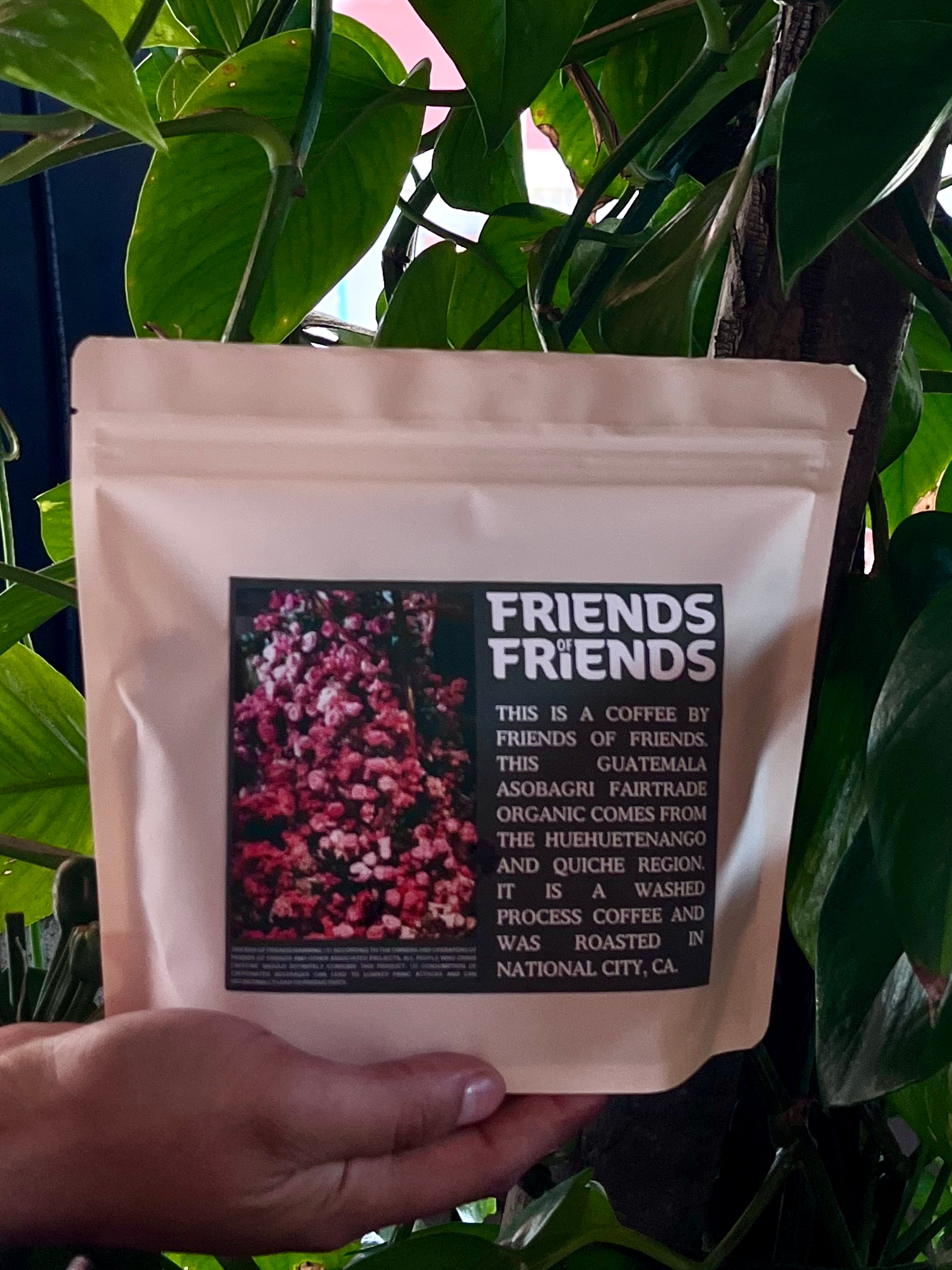 Friends of Friends in National City, CA (2)